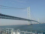 SN381549.jpg