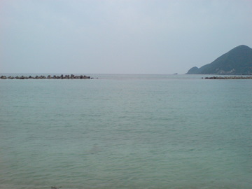 SN381828.jpg