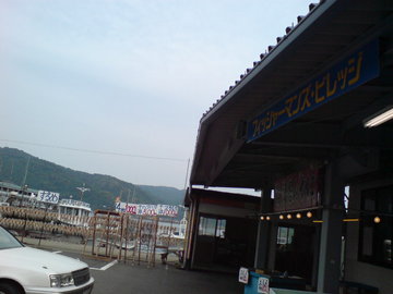 SN381834.jpg