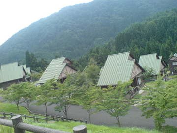 SN382417.jpg