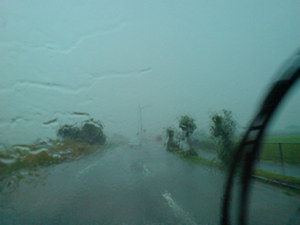 SN382420.jpg