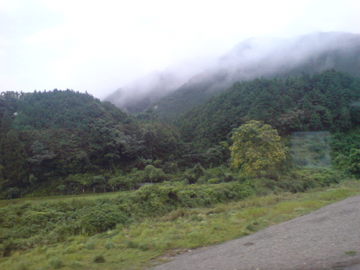 SN382426.jpg