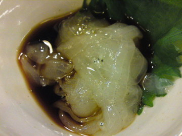 SN3J0481.jpg
