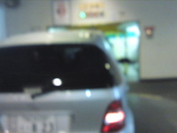 SN3J0491.jpg