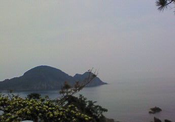 image_0006-1.jpg