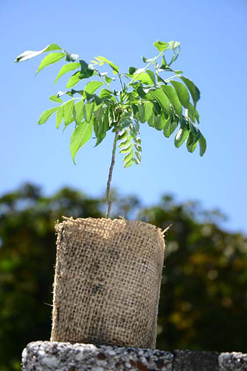img10471147707.jpg