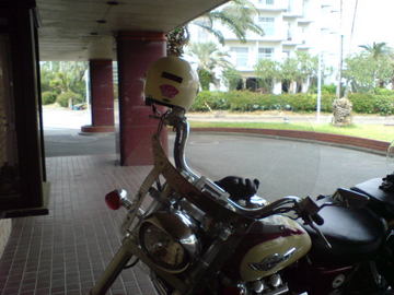 SN381578.jpg