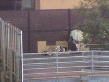 SN3J0981.jpg