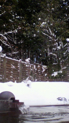 2010011313570002.jpg