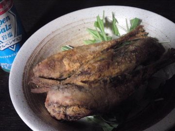 SN3J1843.jpg