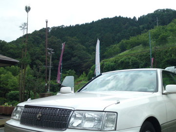 SN3J2541.jpg