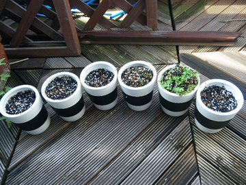 100810_080311.jpg