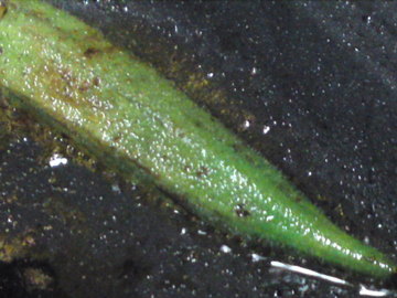 SN3J2929.jpg