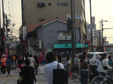 SN3J3499.jpg