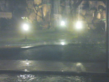 SN3J3667.jpg