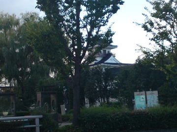 SN3J3778.jpg