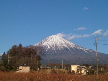 IMG_8375.jpg