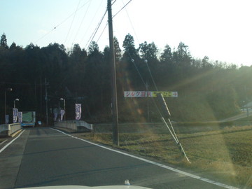 SN3J5133.jpg
