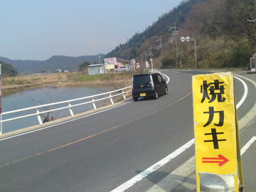 SN3J5159.jpg