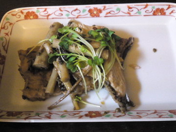 mini_110616_03440002.jpg