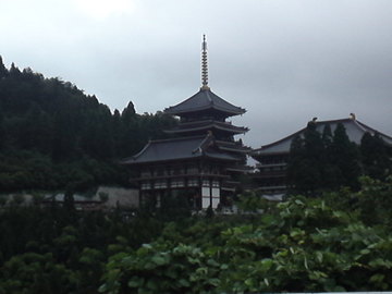 mini_110719_1342.jpg