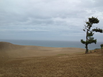 mini_110719_15110002.jpg