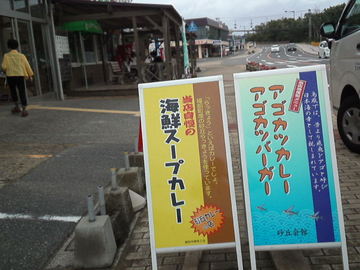 mini_110719_1532.jpg