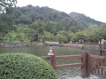 mini_110719_1622.jpg