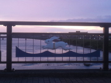 mini_110719_1919.jpg