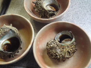 mini_110812_0100.jpg