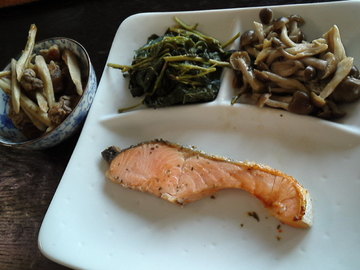 mini_110815_1546.jpg