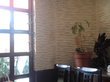 mini_110818_1436.jpg