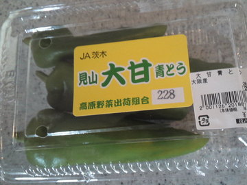 mini_110824_1527.jpg