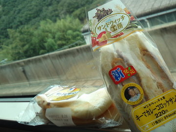 mini_110825_1241.jpg