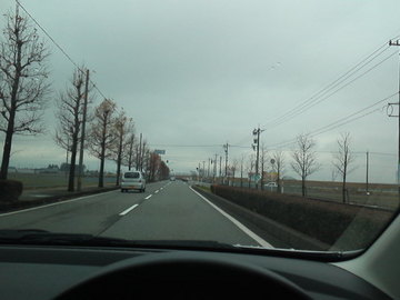 mini_111208_1310.jpg