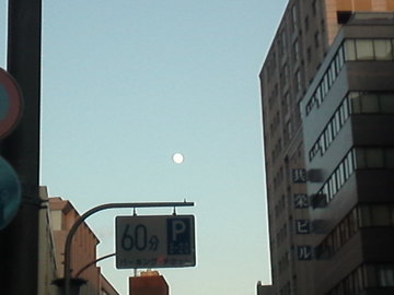 mini_120107_1652.jpg