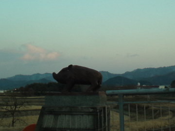 mini_120125_1701.jpg