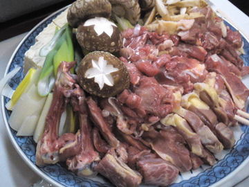 mini_120221_1920.jpg